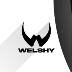 Player Wel5hy avatar