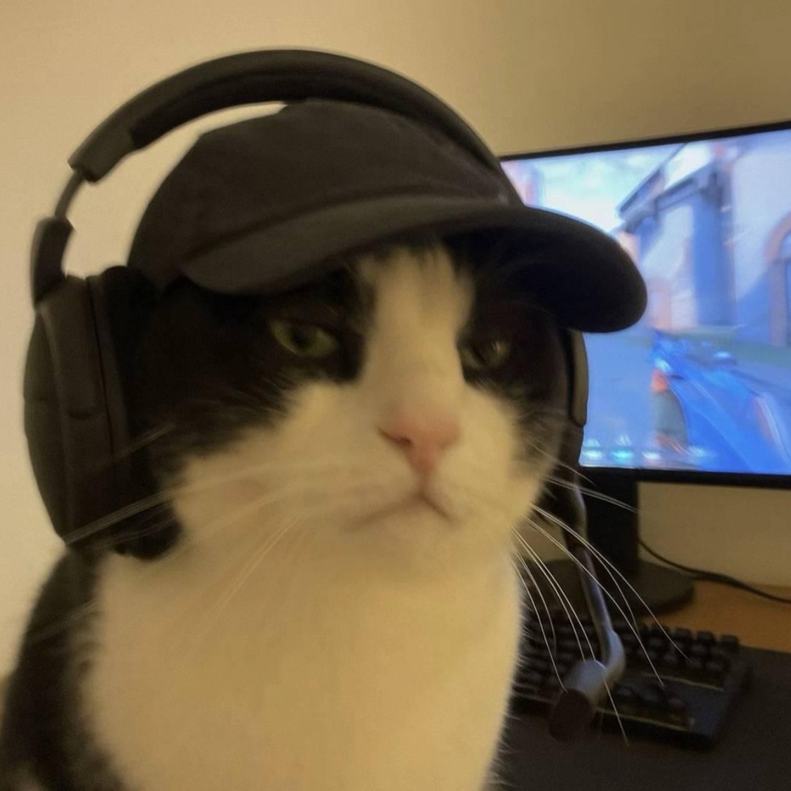 Faceit avatar