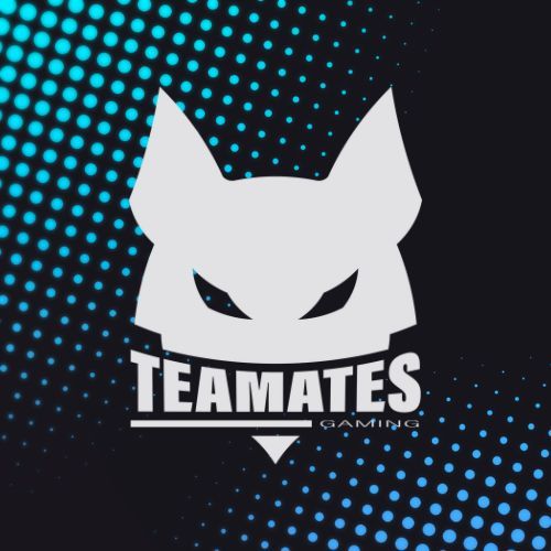 TEAMATES-GAMING