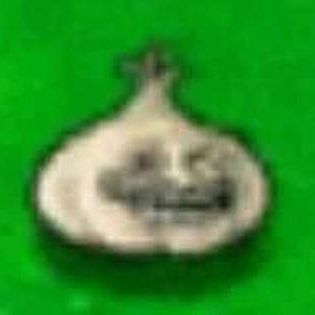 _Apelsin_s_