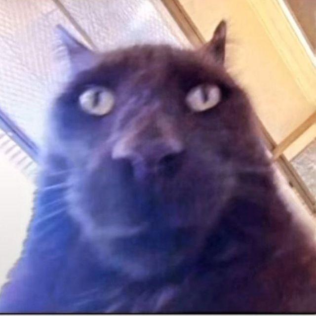 ssepttzy avatar
