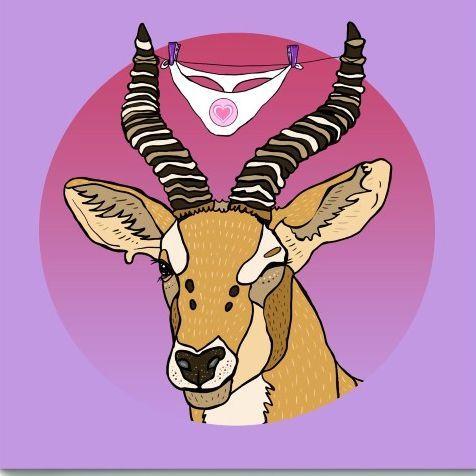 AAntilopAA avatar
