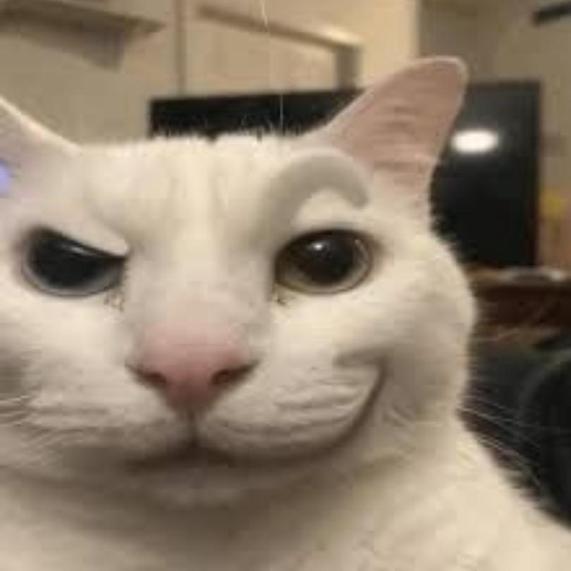 BottoMM avatar