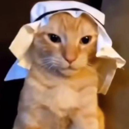 0rganik avatar