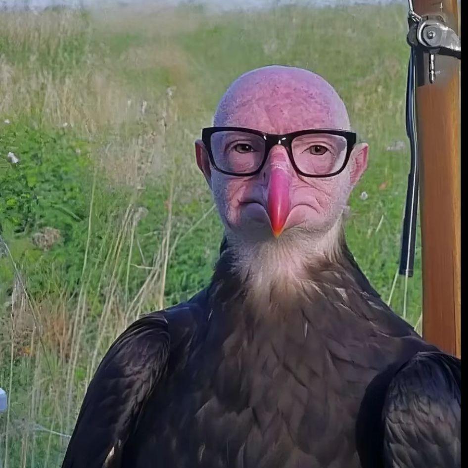 ZeBuja