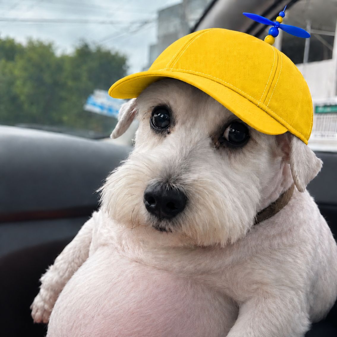 MuTigga