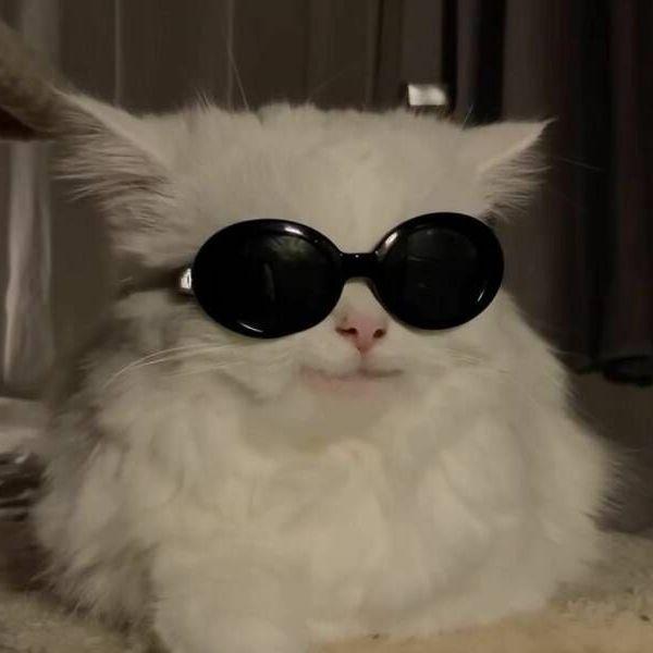 kazikKormit avatar