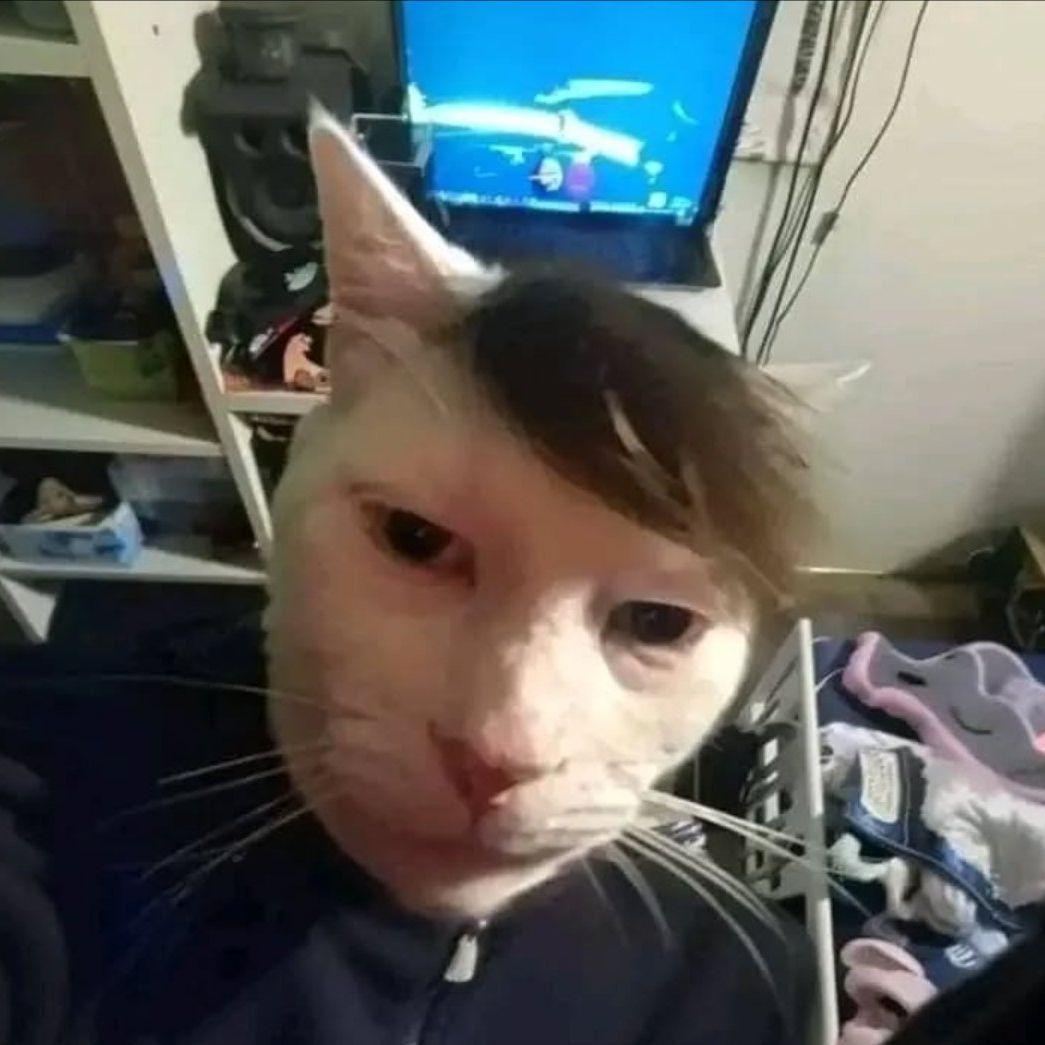 MasterKebab avatar