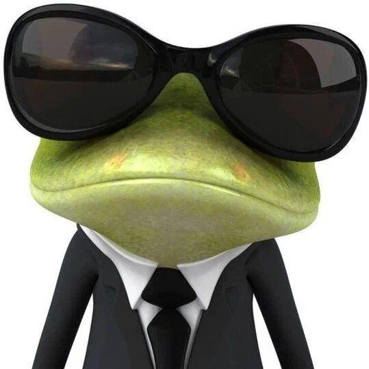 L2cl1cn avatar