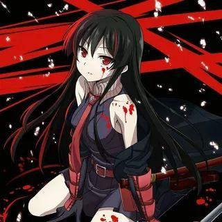 Akame13337 avatar