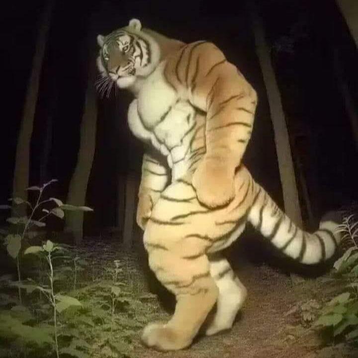 Jurgcss