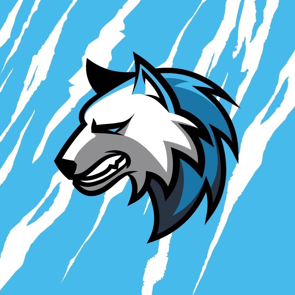 CyberWolvesFTU