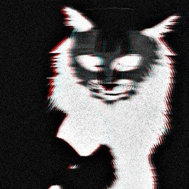 -sQuIcKi avatar
